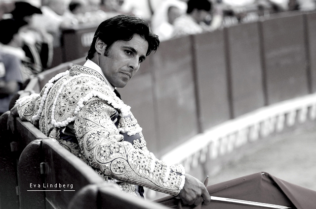 Francisco Rivera Ordóñez