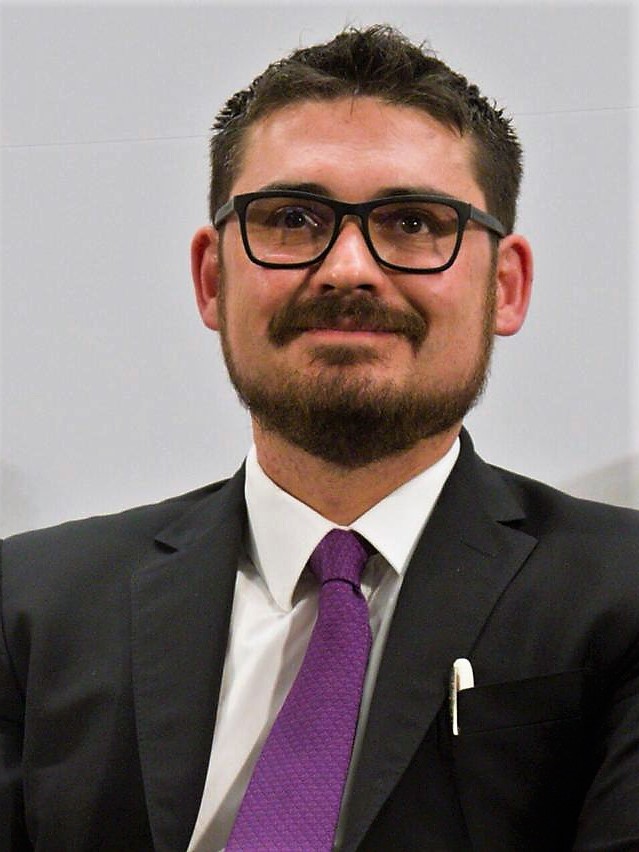 Román Meyer Falcón