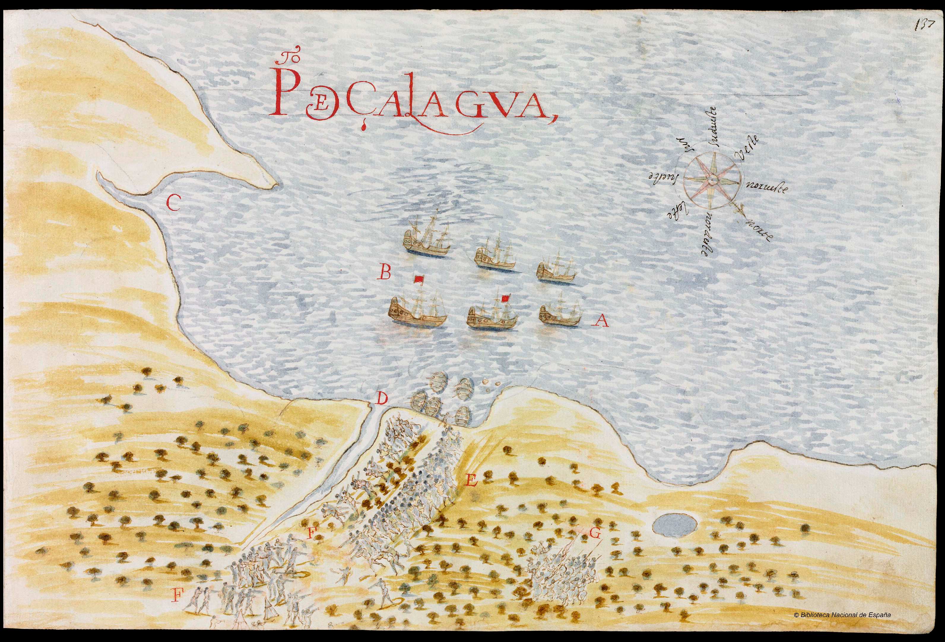 Sebastián   Vizcaíno