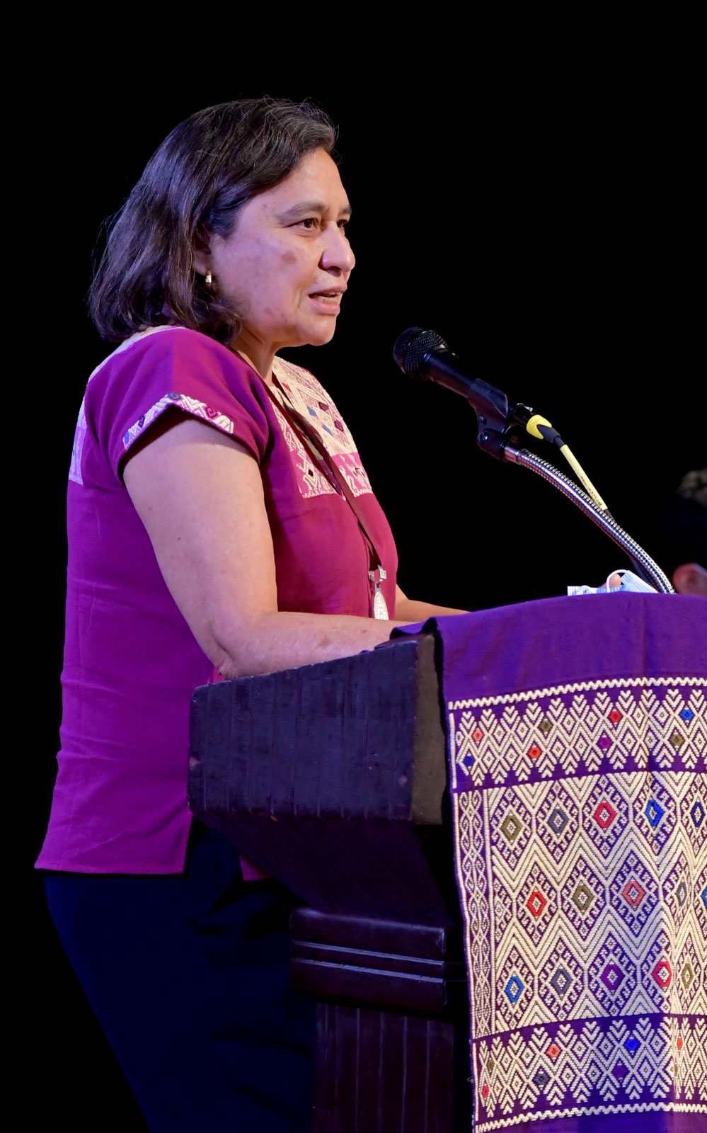 Leticia Bonifaz Alfonzo