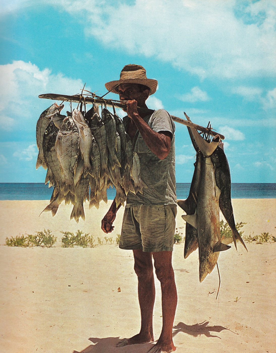 Pescador