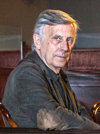 José Enrique Ruiz Domènec