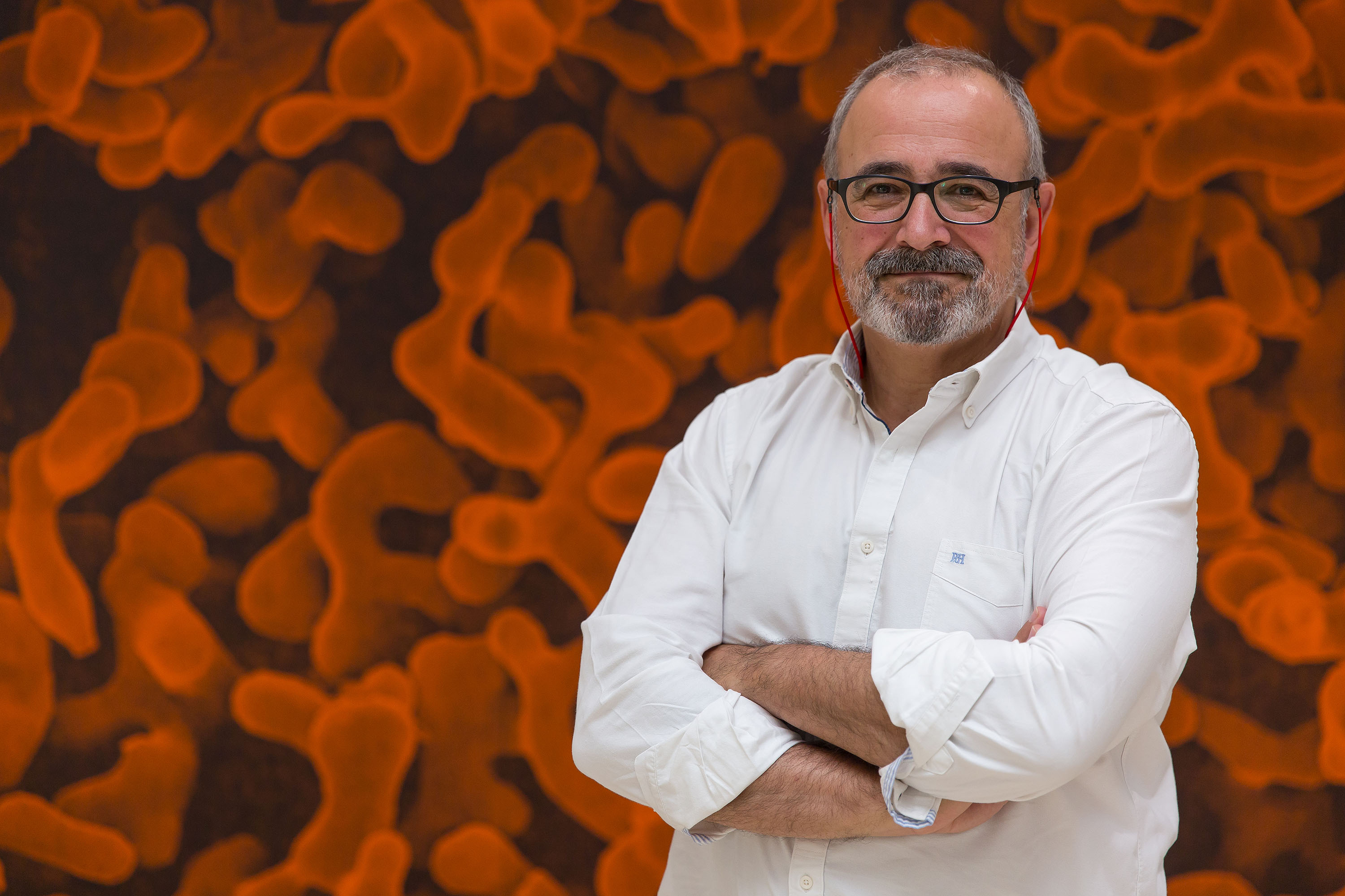 Ignacio López-Goñi