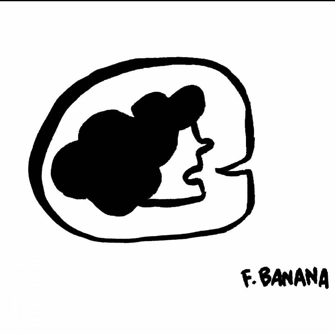 Flavita Banana