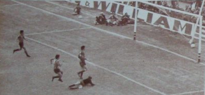 Miguel Bustos