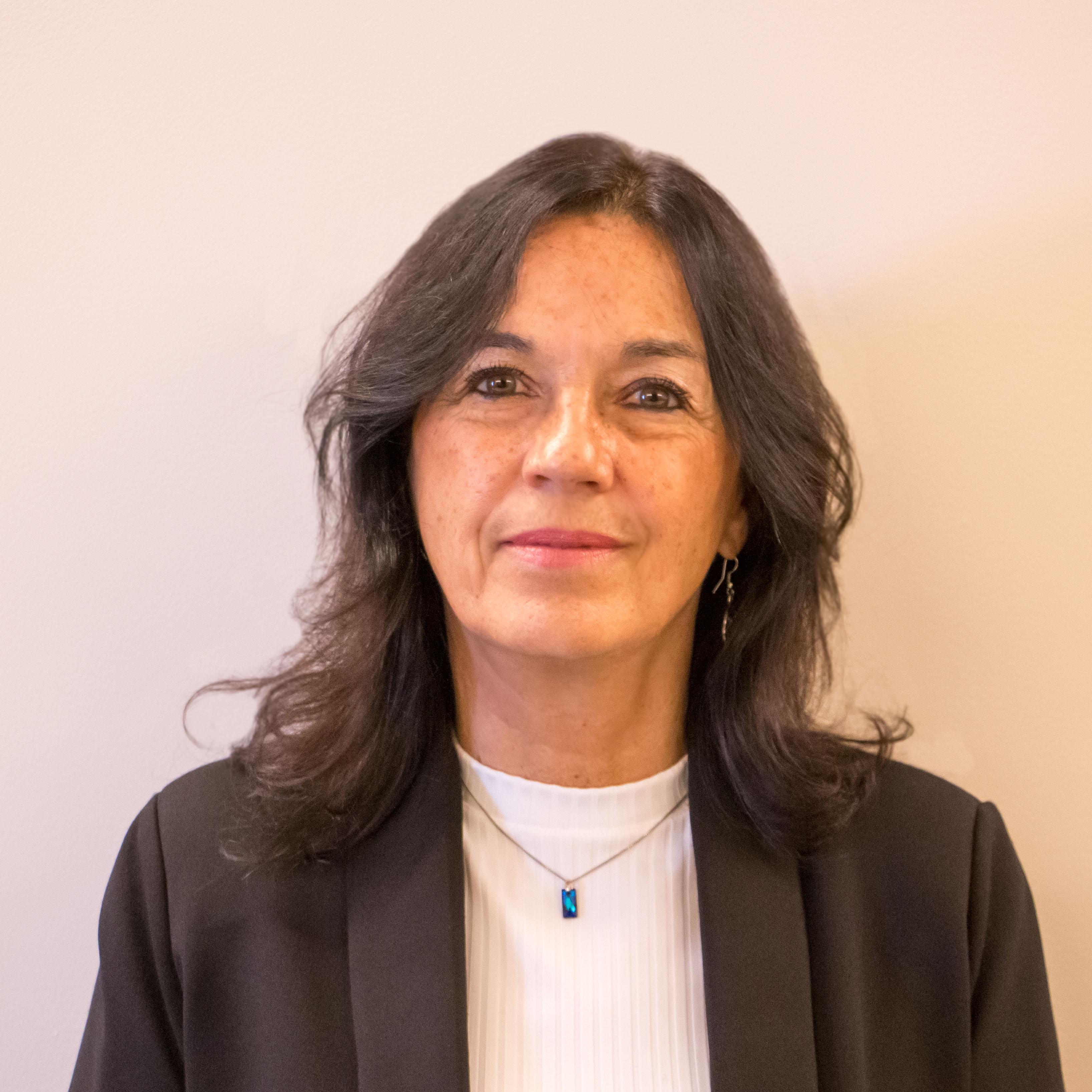 Vilma Ibarra