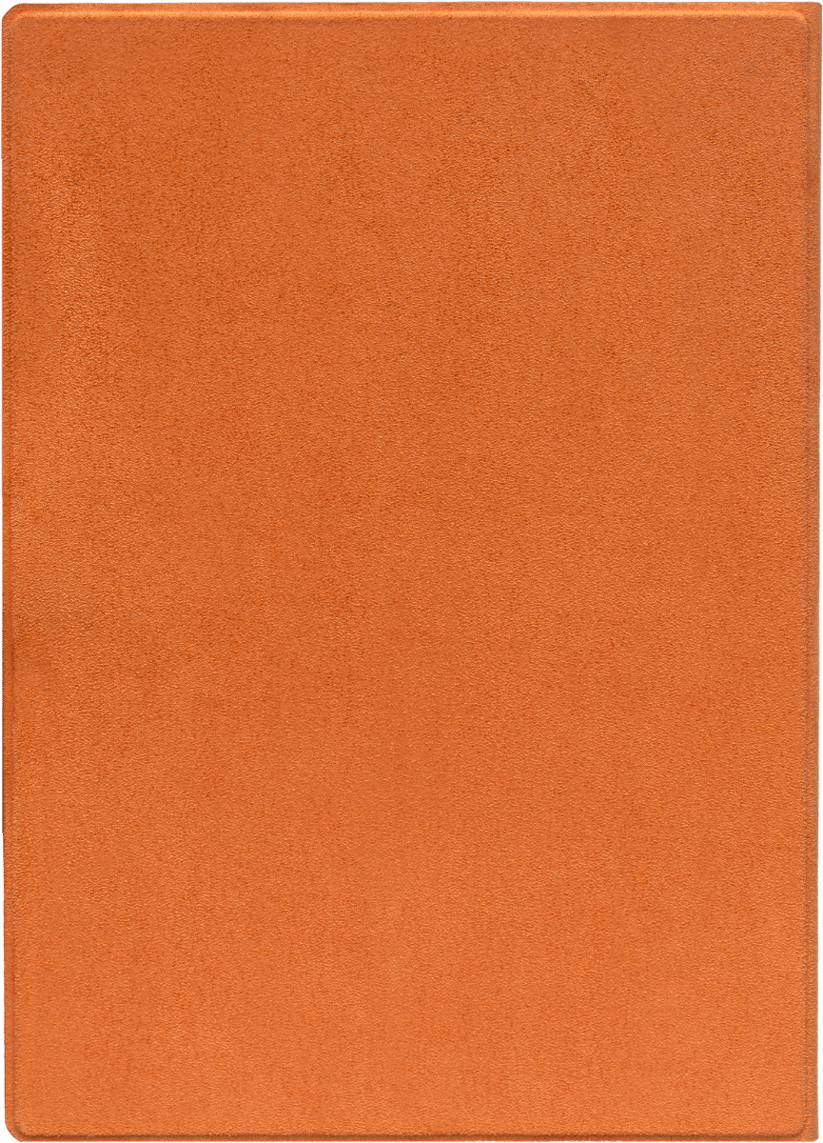 Funda 10,3'' Folio naranja magnética para el InkPad One