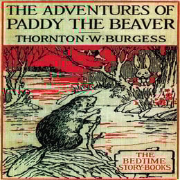 The Adventures of Paddy the Beaver