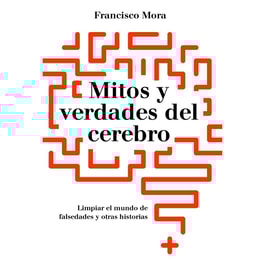 Mitos y verdades del cerebro