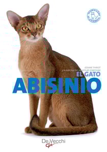 El gato Abisinio