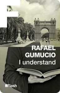 I understand (Flash Relatos)