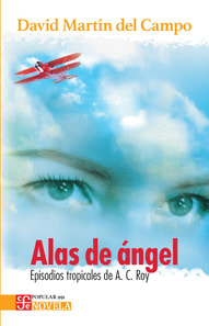 Alas de Ángel