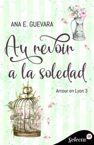 Au revoir a la soledad (Amour en Lyon 3)