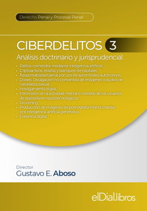 Ciberdelitos 3