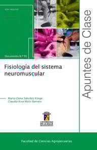 Fisiología del sistema neuromuscular