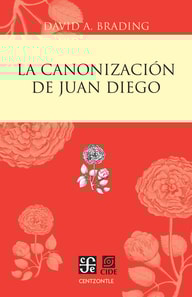 La canonización de Juan Diego