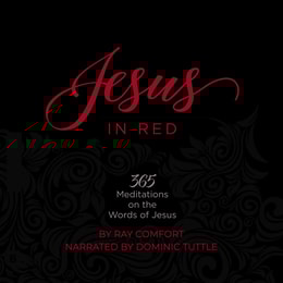 Jesus in Red