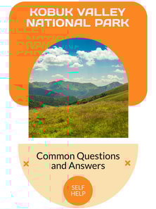 Kobuk Valley National Park