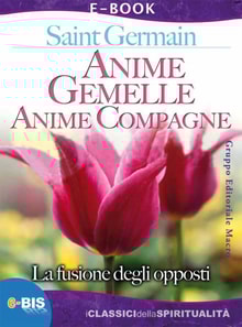 Anime gemelle, anime compagne