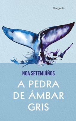 A pedra de ámbar gris