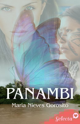 Panambi