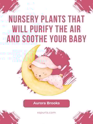 Nursery Plants That Will Purify the Air and Soothe Your Baby