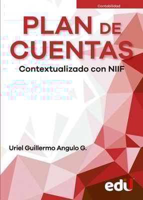 Plan de cuentas contextualizado con NIIF