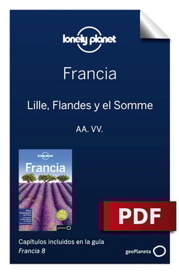 Francia 8_4. Lille, Flandes y el Somme