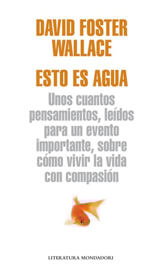Esto es agua (Flash Ensayo)