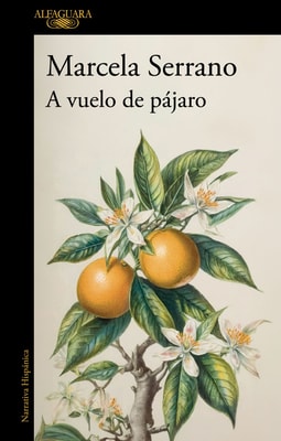 A vuelo de pájaro