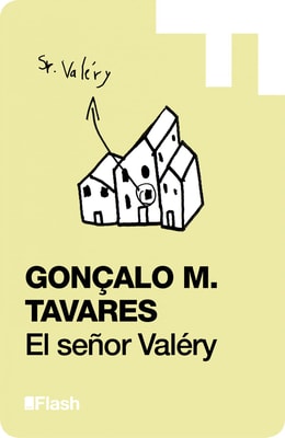 El señor Valery (Flash Relatos)