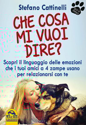 Che cosa mi vuoi dire?