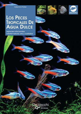 Los peces tropicales de agua dulce