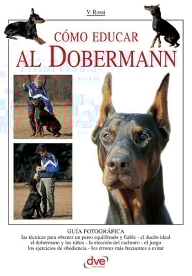 Cómo educar al Dobermann