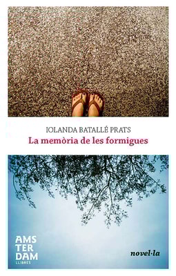 La memòria de les formigues