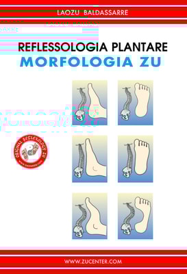 Reflessologia plantare - Morfologia Zu