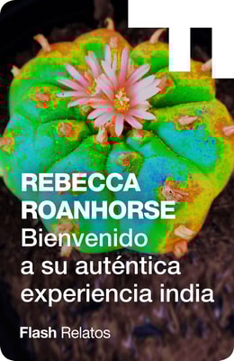 Bienvenido a su auténtica experiencia india (TM)