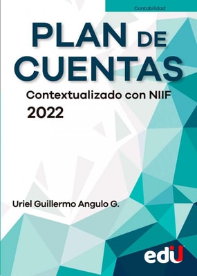 Plan de cuentas. Contextualizado con NIIF