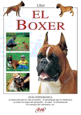 El Boxer