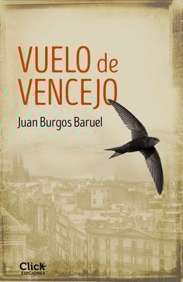 Vuelo de vencejo