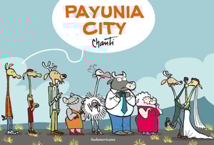 Payunia city