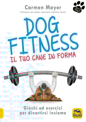 Dog Fitness