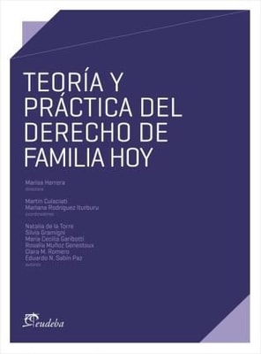 Teoría y práctica del derecho de familia hoy