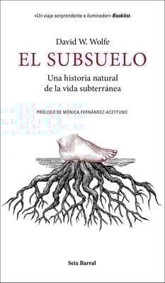 El subsuelo