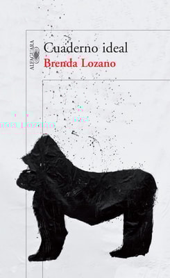 Cuaderno ideal