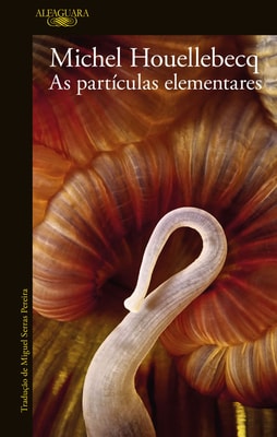 As partículas elementares