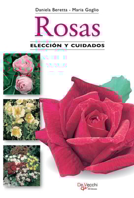 Rosas. Elección y cuidados