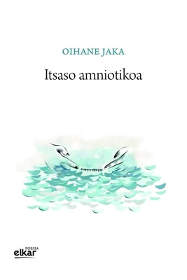 Itsaso amniotikoa