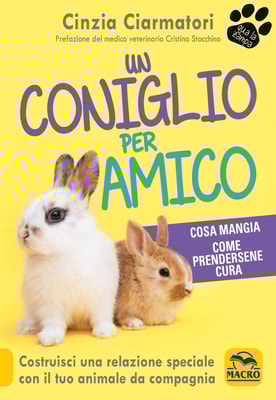 Un coniglio per amico