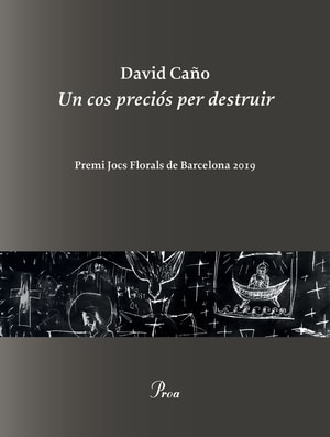 Un cos preciós per destruir